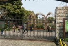 上海蔓趣公园怎么玩？附游玩路线