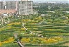 上海留云公园怎么玩？附游玩路线