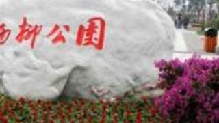 天津西柳公园怎么玩？附游玩路线