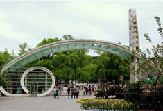 重庆南山植物园怎么玩？附游玩路线