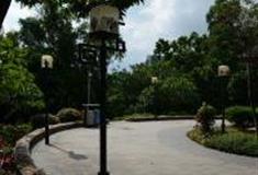 深圳清湖游园怎么玩？附游玩路线