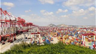 舟山洋山深水港观光游览区怎么玩？附游玩路线