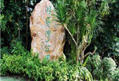 深圳青青世界怎么玩？附游玩路线