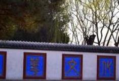 北京中华文化园怎么玩？附游玩路线