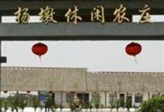 杭州德清杨墩休闲农庄怎么玩？附游玩路线