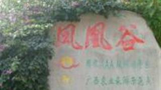 南宁凤凰谷怎么玩？附游玩路线