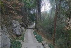 杭州玉皇山怎么玩？附游玩路线