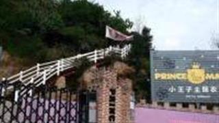 温州瑞安小王子主题农庄怎么玩？附游玩路线