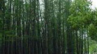 六安皖西大裂谷怎么玩？附游玩路线