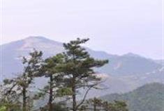 台州华顶旅游风景区怎么玩？附游玩路线