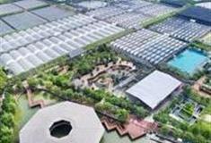 广州流溪湾丰华园怎么玩？附游玩路线