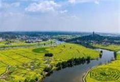 重庆陈抟故里·崇龛花海景区怎么玩？附游玩路线