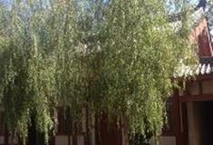 孙子兵法城：指桑骂槐