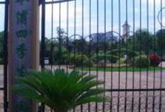 上海奉浦四季生态园怎么玩？附游玩路线