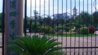 上海奉浦四季生态园怎么玩？附游玩路线