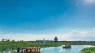 东莞华阳湖国家湿地公园怎么玩？附游玩路线