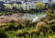 南京石墙围景区怎么玩？附游玩路线