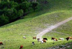 承德木兰围场怎么玩？附游玩路线