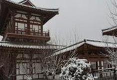 西安青龙寺怎么玩？附游玩路线