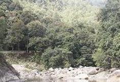 广东第一峰旅游风景区：枫情谷