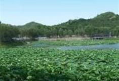 北京红螺湖鸟岛怎么玩？附游玩路线