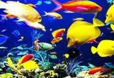 烟台蓬莱极地海洋世界怎么玩？附游玩路线