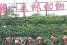 赣州森林动物园怎么玩？附游玩路线