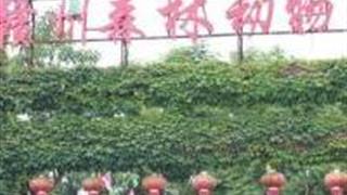 赣州森林动物园怎么玩？附游玩路线