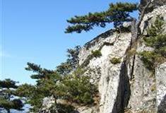 白马尖：神龙望月