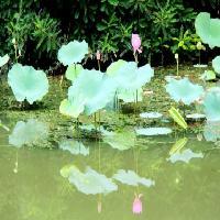 北京陶然亭公园17919