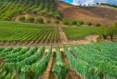 无锡圣桃苑种植园怎么玩？附游玩路线