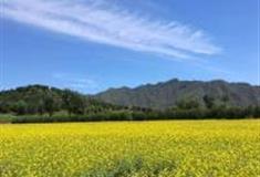 北京唐指山风景区怎么玩？附游玩路线