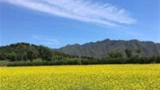 北京唐指山风景区怎么玩？附游玩路线