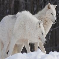 江苏张家港梦幻海洋王国19681