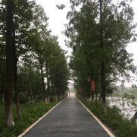 长沙洋湖湿地公园18312