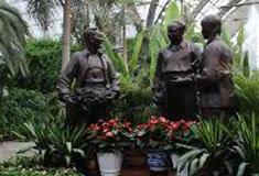 中北镇：天津热带植物观光园