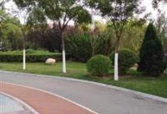 天津南开公园怎么玩？附游玩路线