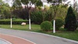 天津南开公园怎么玩？附游玩路线