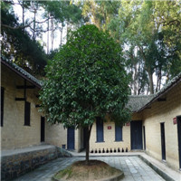 杨开慧纪念馆介绍及游玩景点推荐