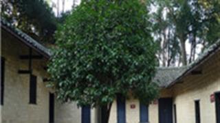 长沙杨开慧纪念馆怎么玩？附游玩路线