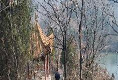 伏羲山神仙洞：观日亭