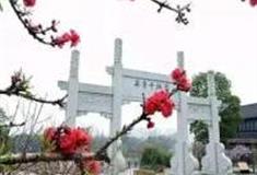 杭州皋亭山千桃园怎么玩？附游玩路线