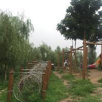 长沙洋湖湿地公园18320