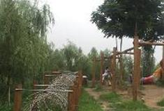 长沙洋湖湿地公园：童趣园