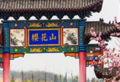 滨州樱花山怎么玩？附游玩路线