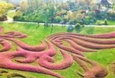 南昌青岚湖森林公园怎么玩？附游玩路线