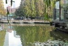 上海塘桥公园怎么玩？附游玩路线