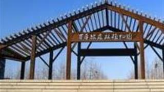 晋中百草坡森林植物园怎么玩？附游玩路线