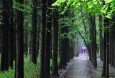 苏州同里国家湿地公园怎么玩？附游玩路线