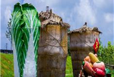 上海都市菜园怎么玩？附游玩路线